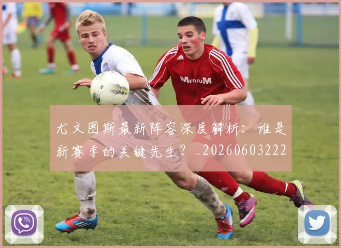 尤文图斯最新阵容深度解析：谁是新赛季的关键先生？_20260603222037